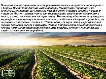 Уровень развития хозяйства великобритании