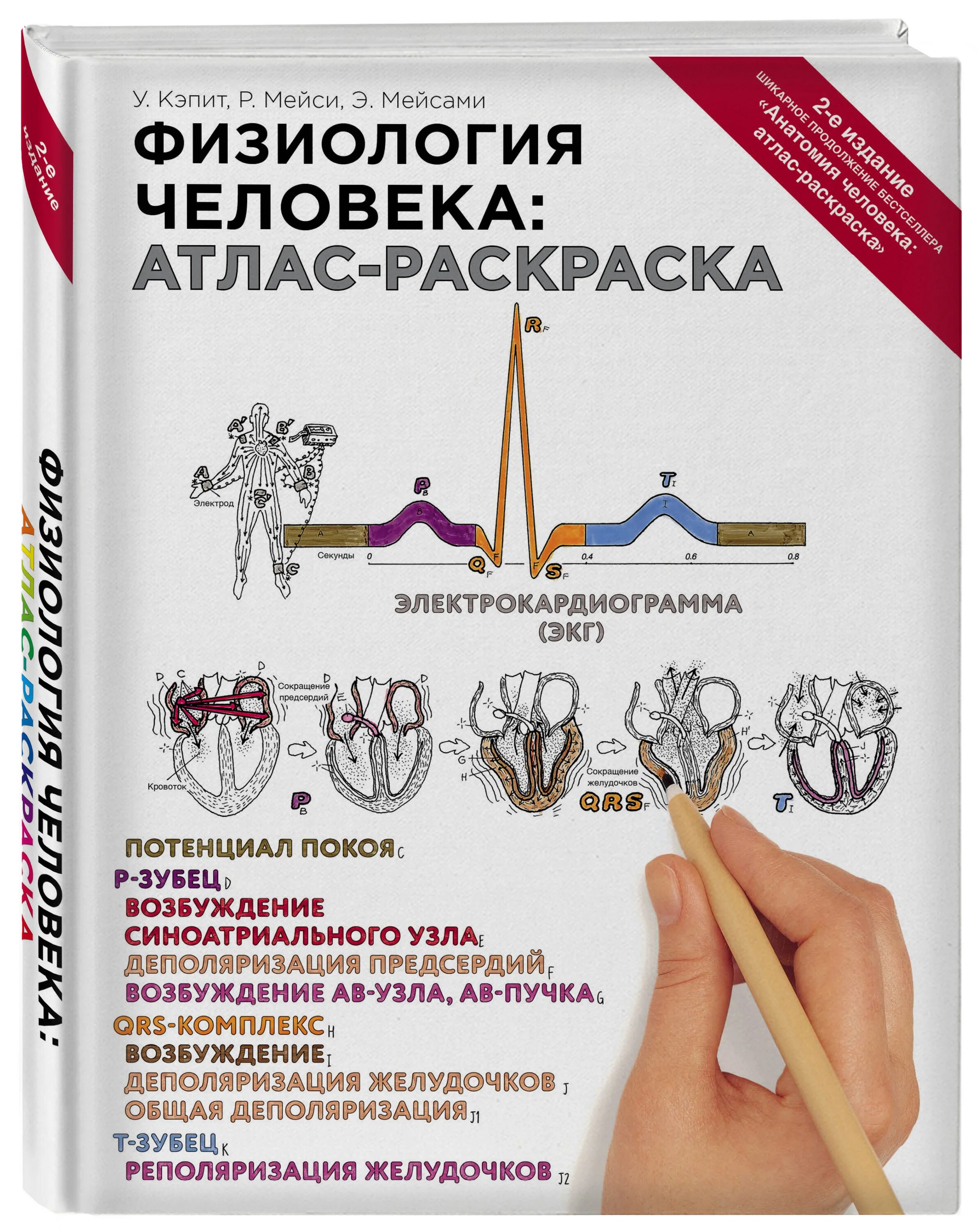 Анатомия человека атлас раскраска уинн кэпит. Атлас по физиологии. Атлас по физиологии. Агаджанян нормальная физиология. Иллюстрированный атлас анатомии и физиологии человека владис.