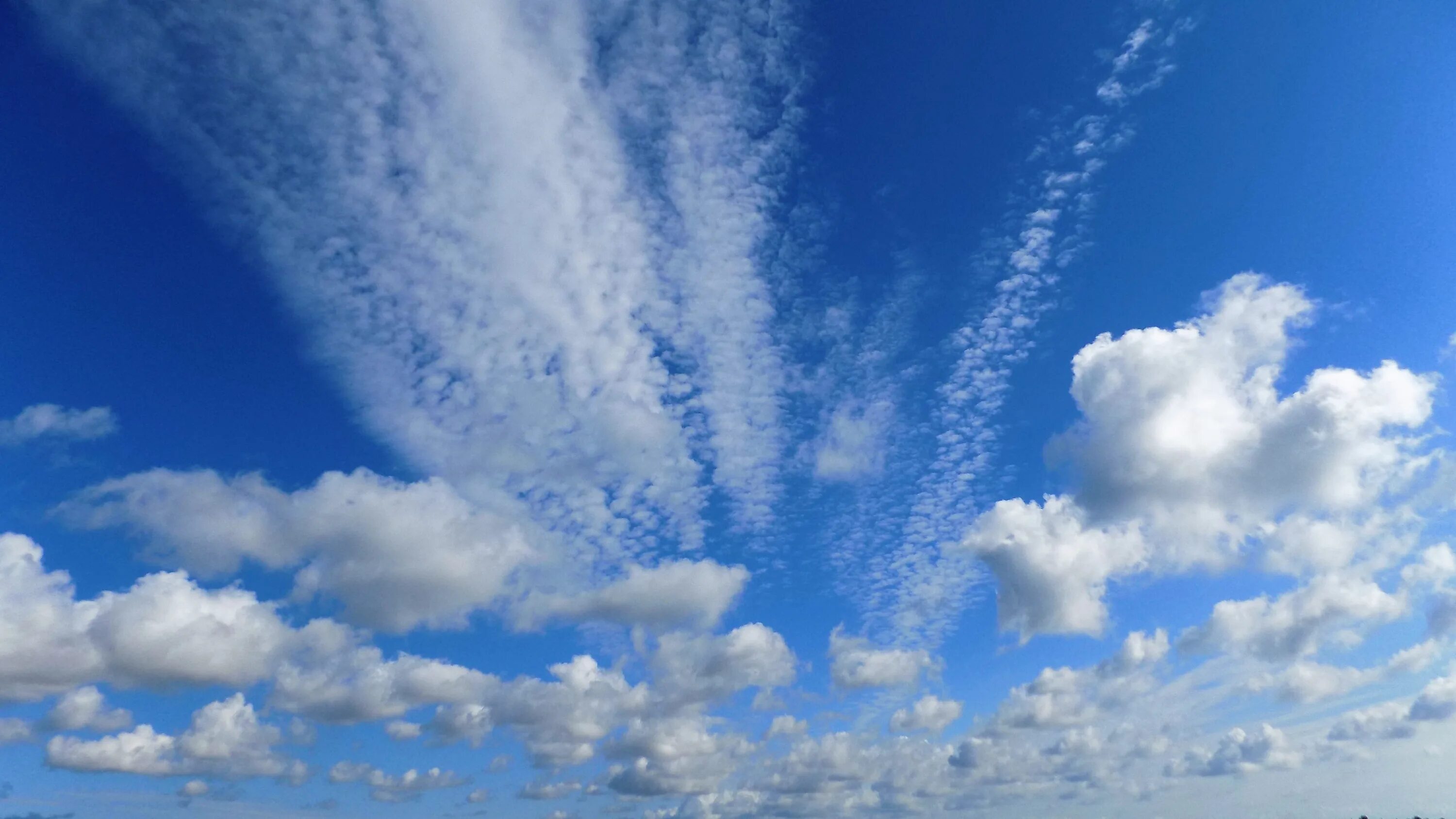 Wind cloud