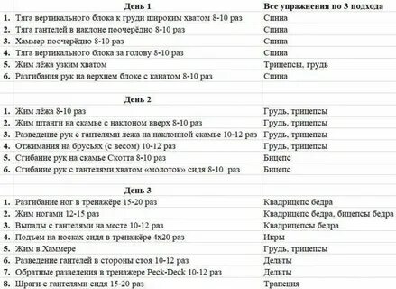 Тренировки на два раза в неделю
