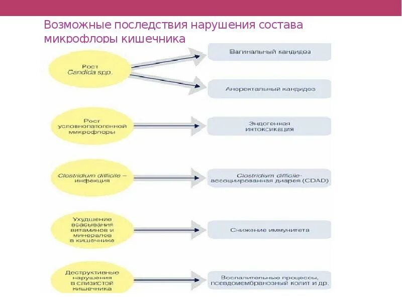 Состав нарушения. Возможные последствия правонарушений