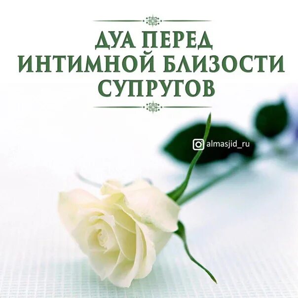 Дуа чтобы жениться. Дуа при зачатии. молитва перед интимной близостью в исламе. дуа для близости.