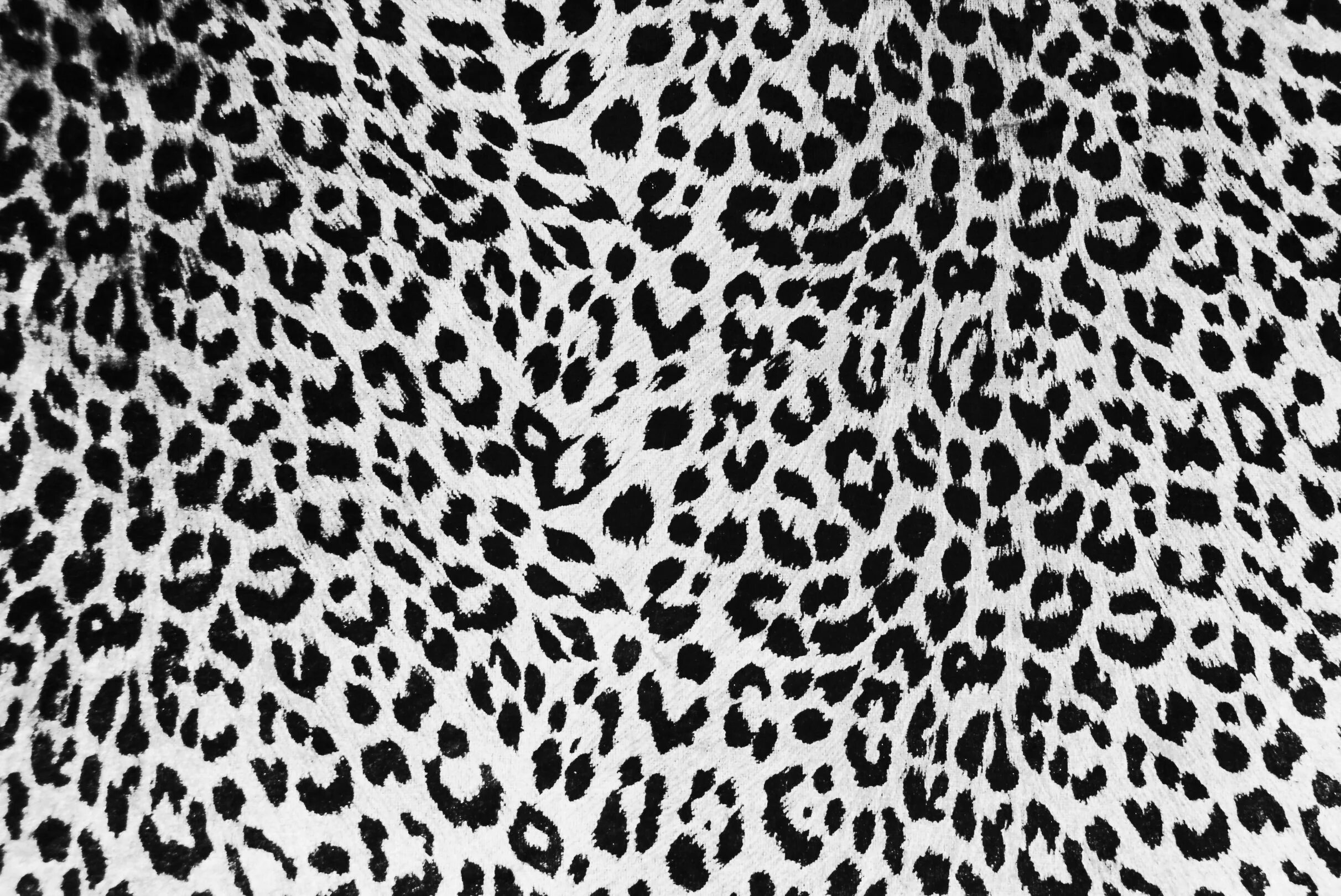 Animal pattern