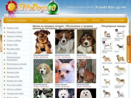 Имена для собак биглей