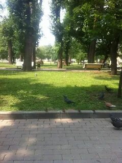 Парк прямикова таганская
