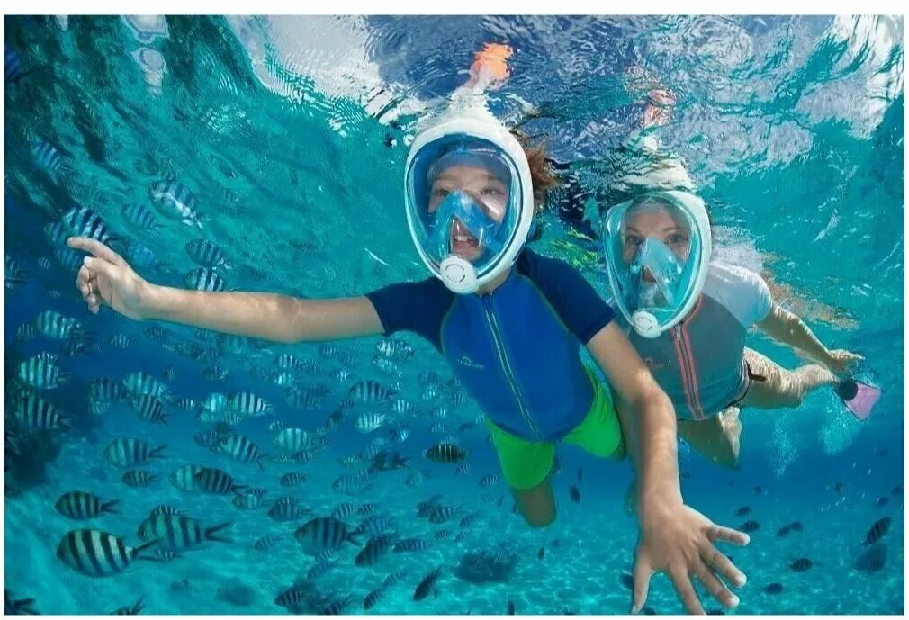 Маска nemo снорклинг. Маска для снорклинга tusa. Как выбрать маску для снорклинга. Маска марлин скуба. Маска для скайдайвинга tribord.