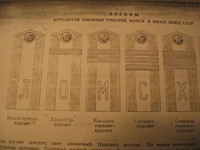 Курсант 8 читать полностью. Курсантские погоны СССР 1945. Погоны курсантов 1943. Воинские звания курсантов. Звания курсантов военных.