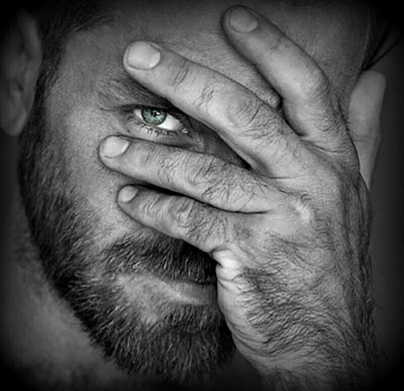 огромный редкость. датский дог гибсон. огромный редкость. взгляд сверлящий душу. самое большое яблоко в мире.