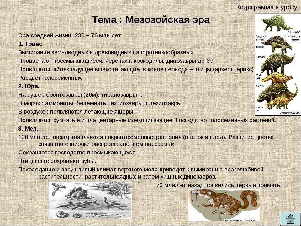 Мезозойская Эра Триас таблица. Мезозойская Эра периоды таблица кратко. Мезозойская Эра периоды основные события. Мезая