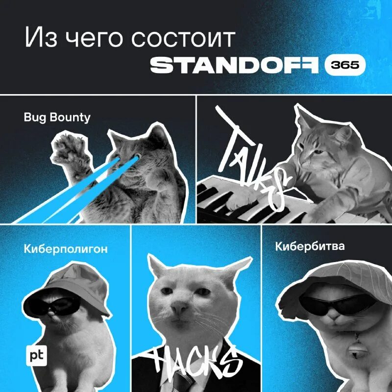 Standoff 365. Киберполигон. КИБЕРБИТВА. Standoff 365 Кибердом. Киберполигон сценарии.