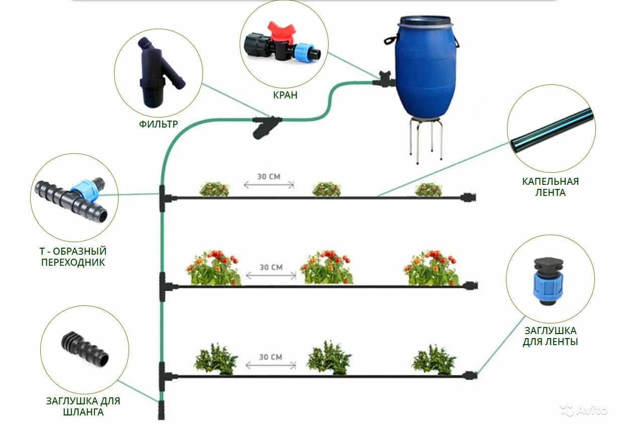 Система капельного полива из бочки купить. Схема подключения капельного полива с таймером. Схема подключения системы капельного полива. Схема капельного полива в теплице с таймером. Схема подсоединения капельного полива.