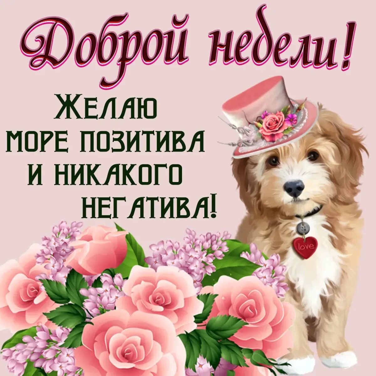 Поздравление недели. С началом новой недели. открытки с пожеланием хорошей недели. отличной недели. поздравление с понедельником.