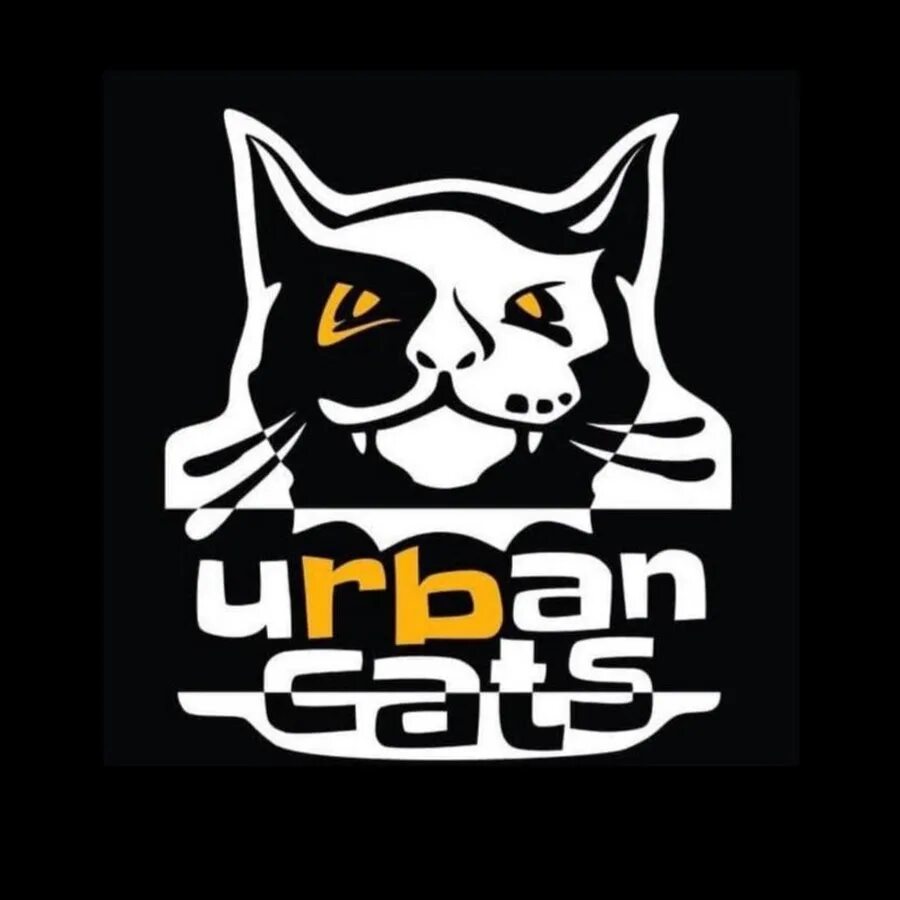 Urban cats. Urban cats волокитина аня. Urban cats. Кошка рысь домашняя. Трехцветная уличная кошка.