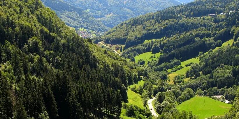 Schwarzwald - блог Санатории Кавказа