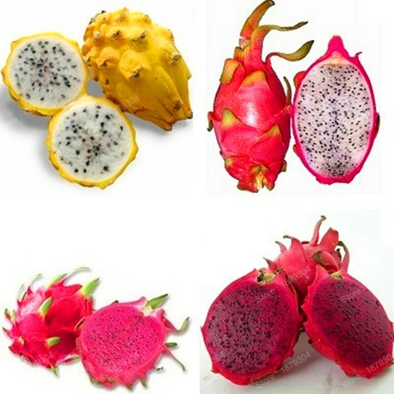 драгон фрукт цвета. драгон фрукт цвета. питайя питахайя драгонфрут. питахайя драконий фрукт. личи-питайя.