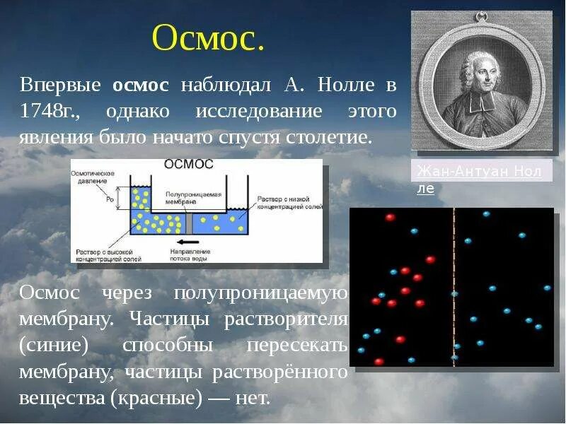 Осмос это для чего. Осмос. нолле осмос. осмос через полупроницаемую мембрану. осмос физика.