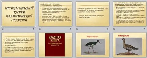 Владимирская красная книга