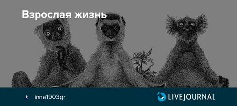 Взрослая жизнь форум