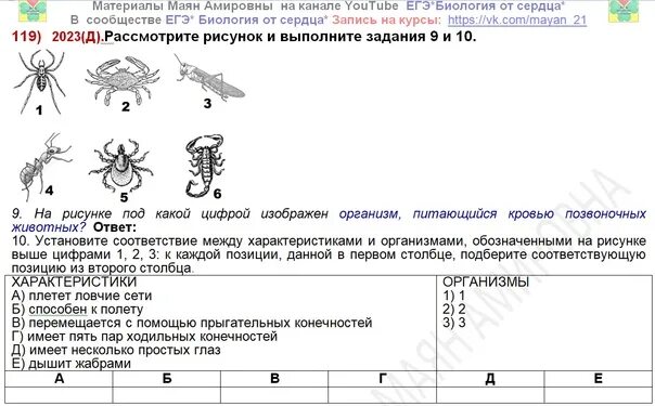 Контрольная работа 7 класс биология 2024. Егэ биология 2024. генетика егэ биология. рисунки которые будут на егэ по биологии 2024 год. задания егэ генетика человека.