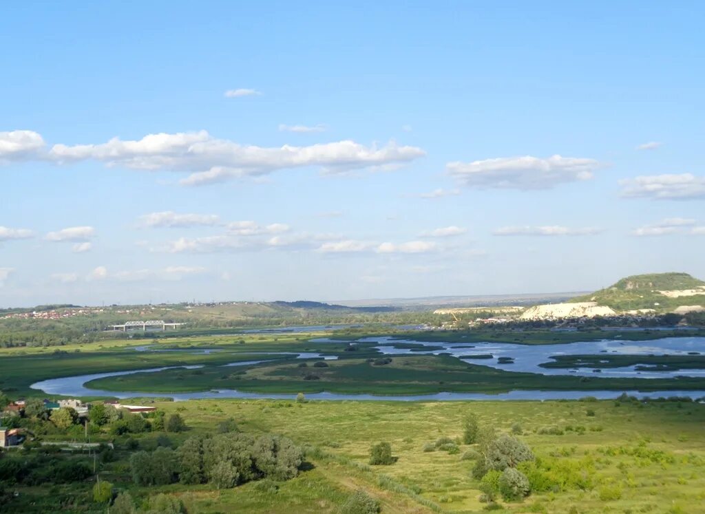 Река сок самара. Устье реки самара. Самара (приток волги). Река сок самара болото. Река кондурча.