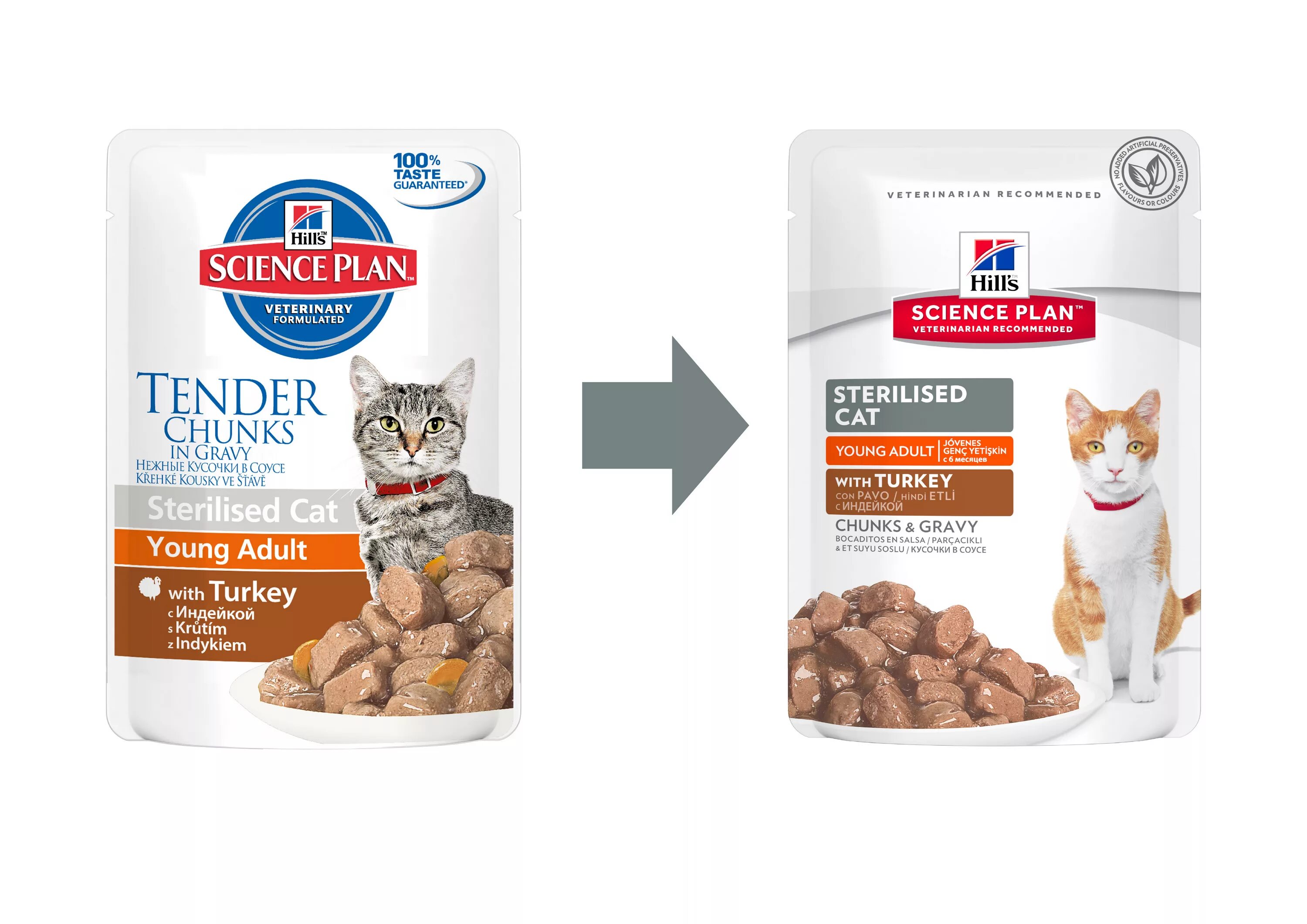 Хиллс для кошек стерилизованных сухой. Хиллс для взрослых кошек с тунцом. 5 кг. Хиллс корм для кошек эдалт. Сухой корм для стерилизованных кошек hill's science plan.