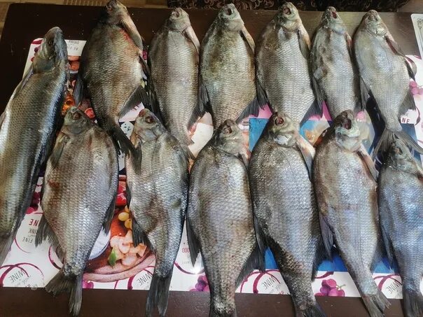 Сухой посол рыбы в тряпке леща