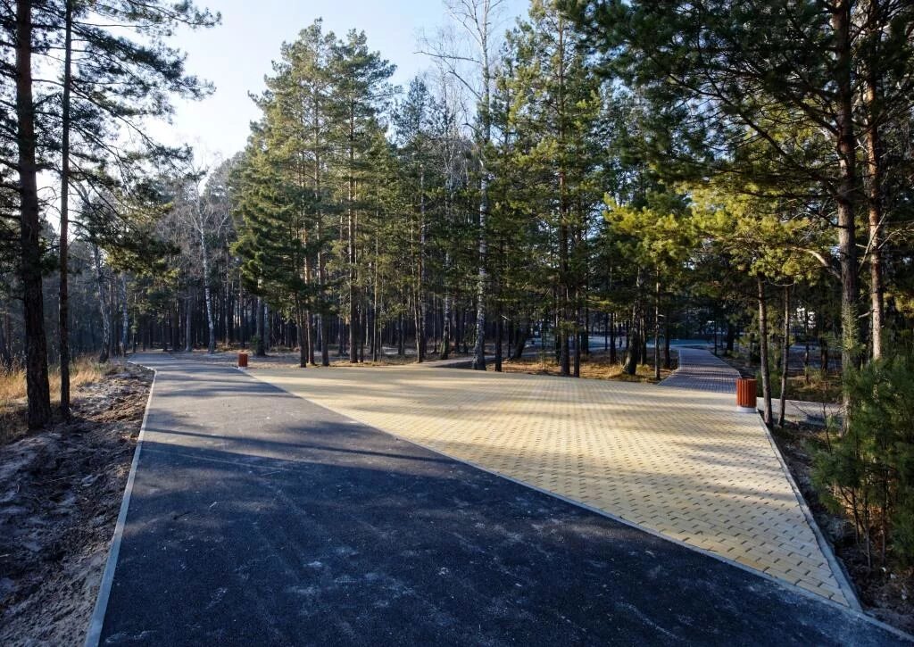 Бор томск. Сосновый бор томск. парк сосновый бор томск. сосновый бор томск улица кутузова. сосновый бор 2012 томск.