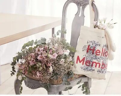 Hello h