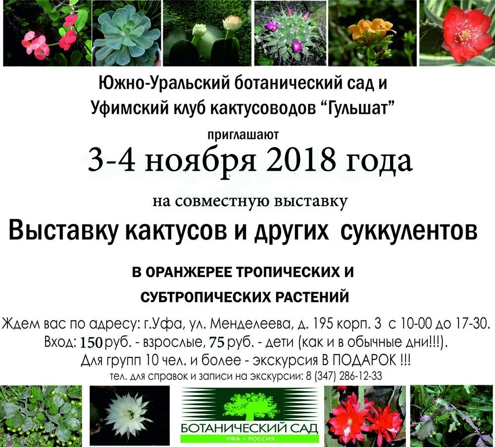 Ботанический сад киров режим работы 2025. Южно уральский ботанический сад уфа. уфа ботанический сад режим. ботанический сад уфа режим работы.