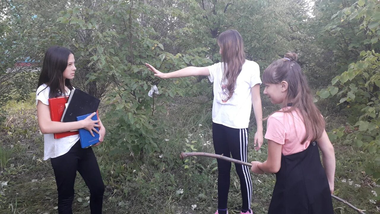 Как вызвать духа баку. Баку пожиратель снов баку пожиратель снов. непета страшилки баку пожиратель снов. баку дух пожиратель снов. книга снов баку пожиратель снов.