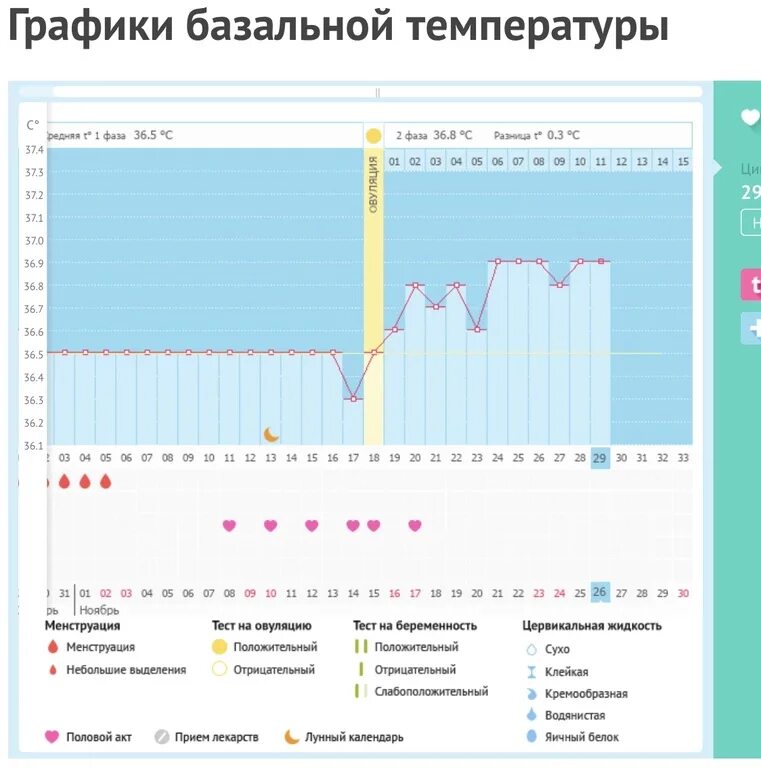 График базальной температуры в беременный цикл. График БТ 28 дней в беременный цикл. График БТ С овуляцией и беременностью. Графики базальной температуры в норме. Какая базальная температура при беременности до задержки