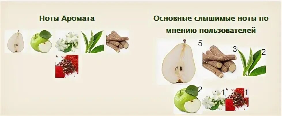 Главный запах