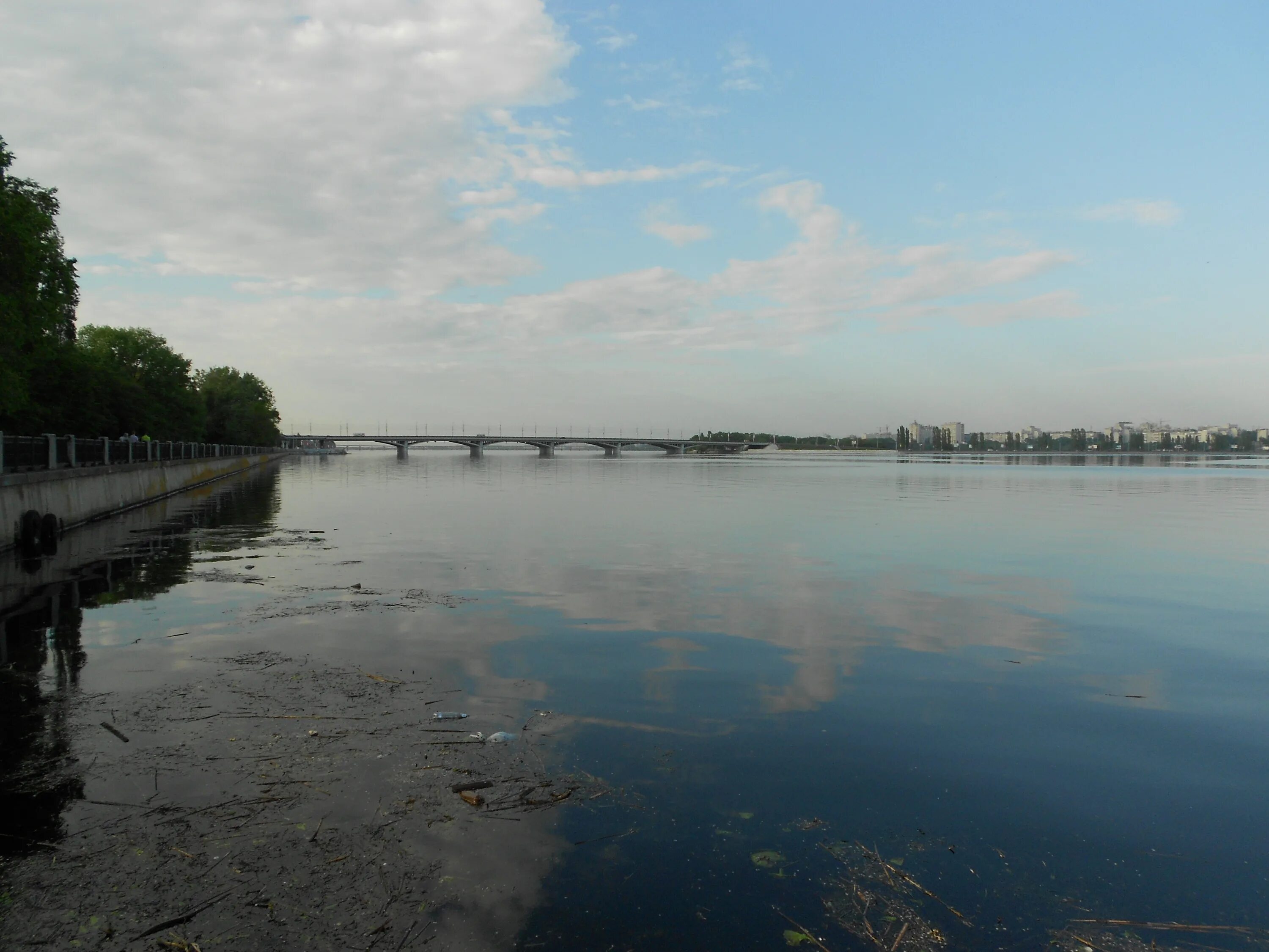 Загрязнение водохранилища. Загрязнение водохранилища Воронеж. Водохранилище Воронеж загрязнено. Грязное водохранилище Воронеж. Воронежское водохранилище загрязнение.