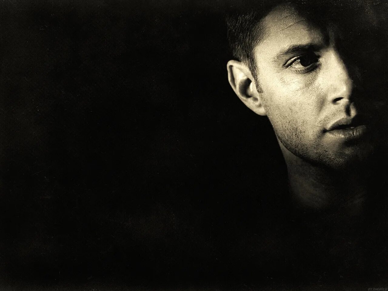 Dean перевод. Dean перевод. декан картинка для детей. Dean martin everybody loves somebody. Dean zico pour up.