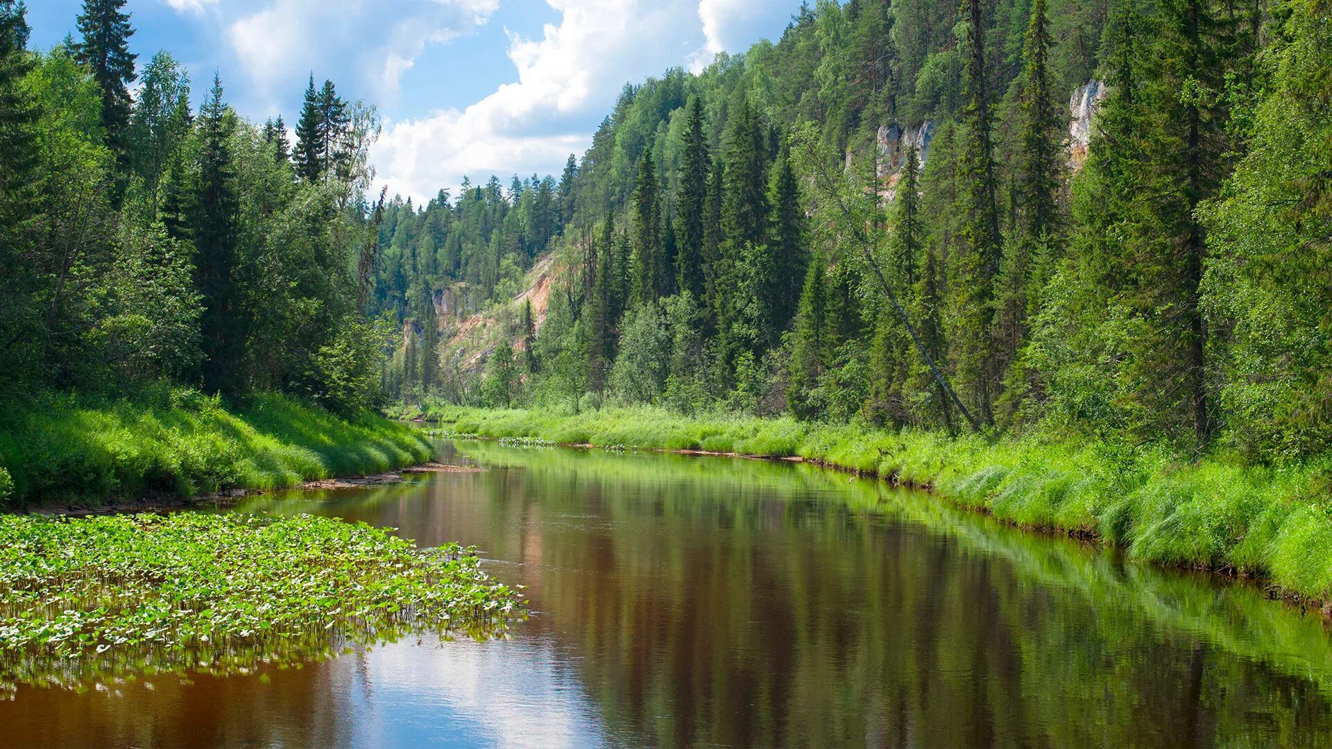 Пинежский заповедник река Пинега. Заповедникпинежский арх ЛБЛ. Архангельск Пинежский заповедник. Пинежский заповедник реки. Лесной край купить