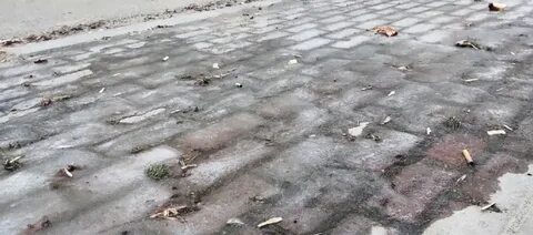 Калуга осадка