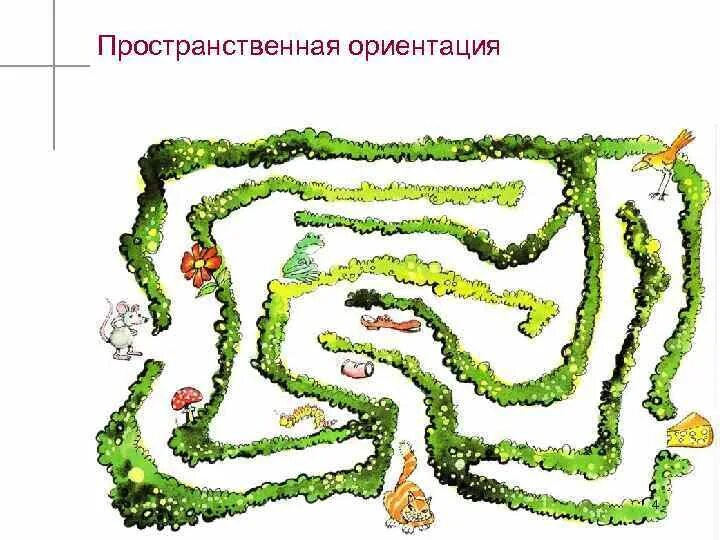 Пространственное ориентирование. Пространственно-графическая ориентация. Навыки пространственной ориентировки это. Пространственная ориентация. Пространственная ориентация движений это.