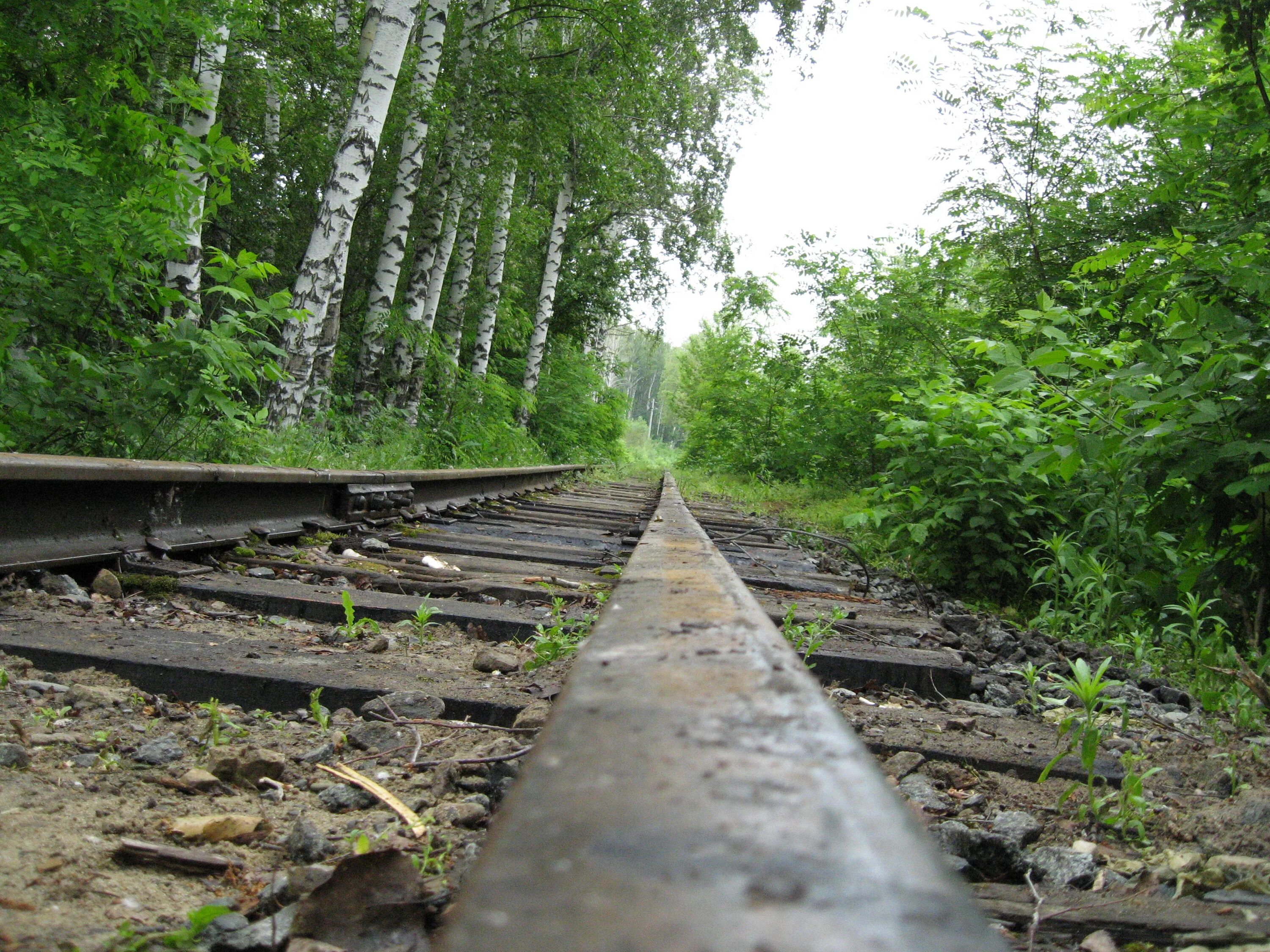 Пенза железная дорога. Железная дорога Пенза. Детская железная дорога Пенза. Детская железная дорога Пенза фото. Ангар ДЖД Пенза.