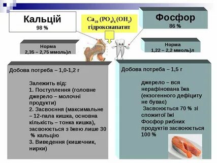 Белки фосфор