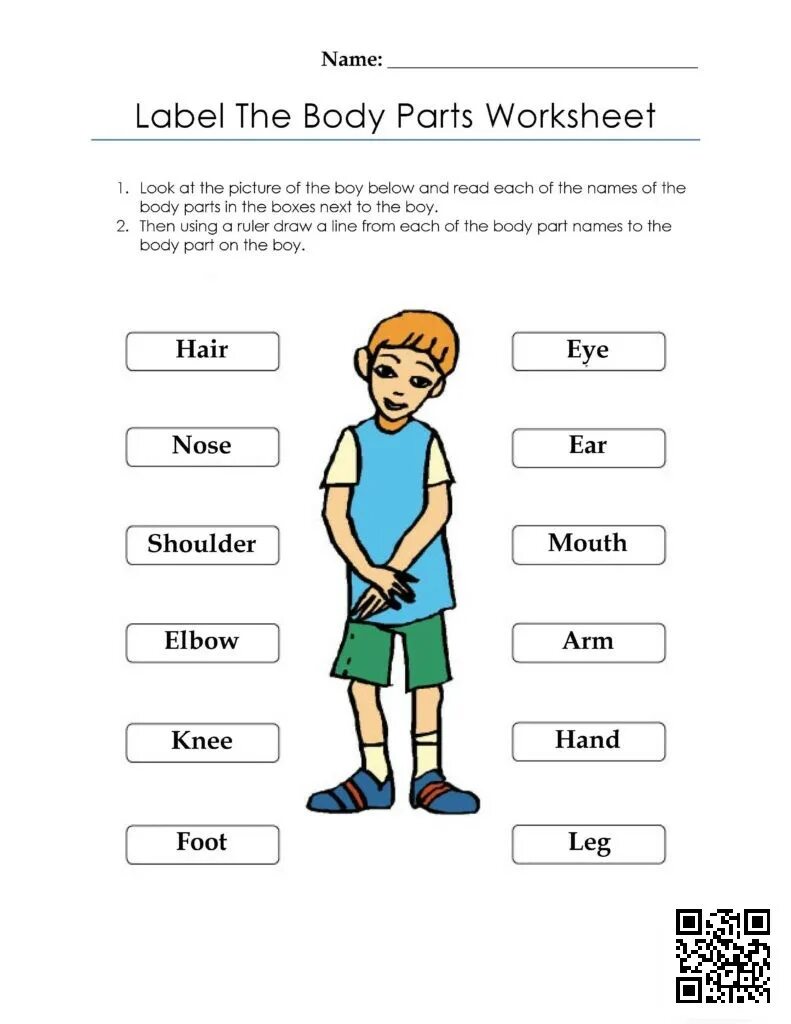 The boy has the word. Части тела Worksheets. Части тела на английском Worksheets. Body Parts for Kids задания. Части тела на английском задания.