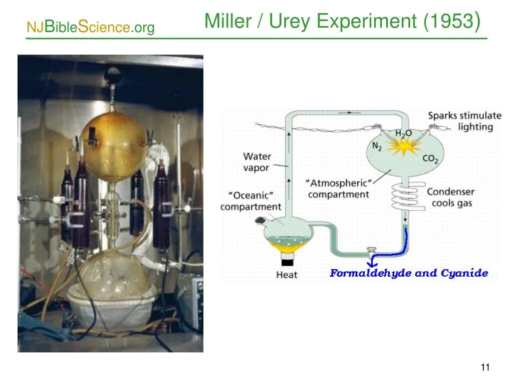 Студенты в лаборатории. Наука детям стоковые фото. Эксперимент миллера. Опыт джозефа пристли. Школьники в лаборатории.