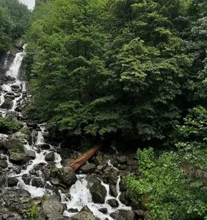 Отзывы про абхазию