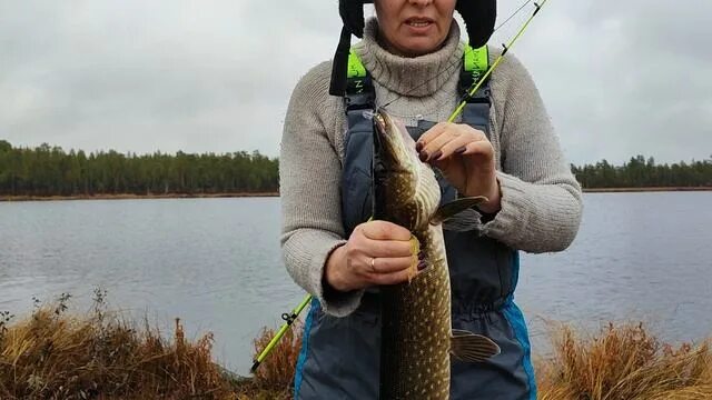 Щучья чума. Рыбалка на Озерах. Озерная щука. Щука ХМАО. Ханты на рыбалке.