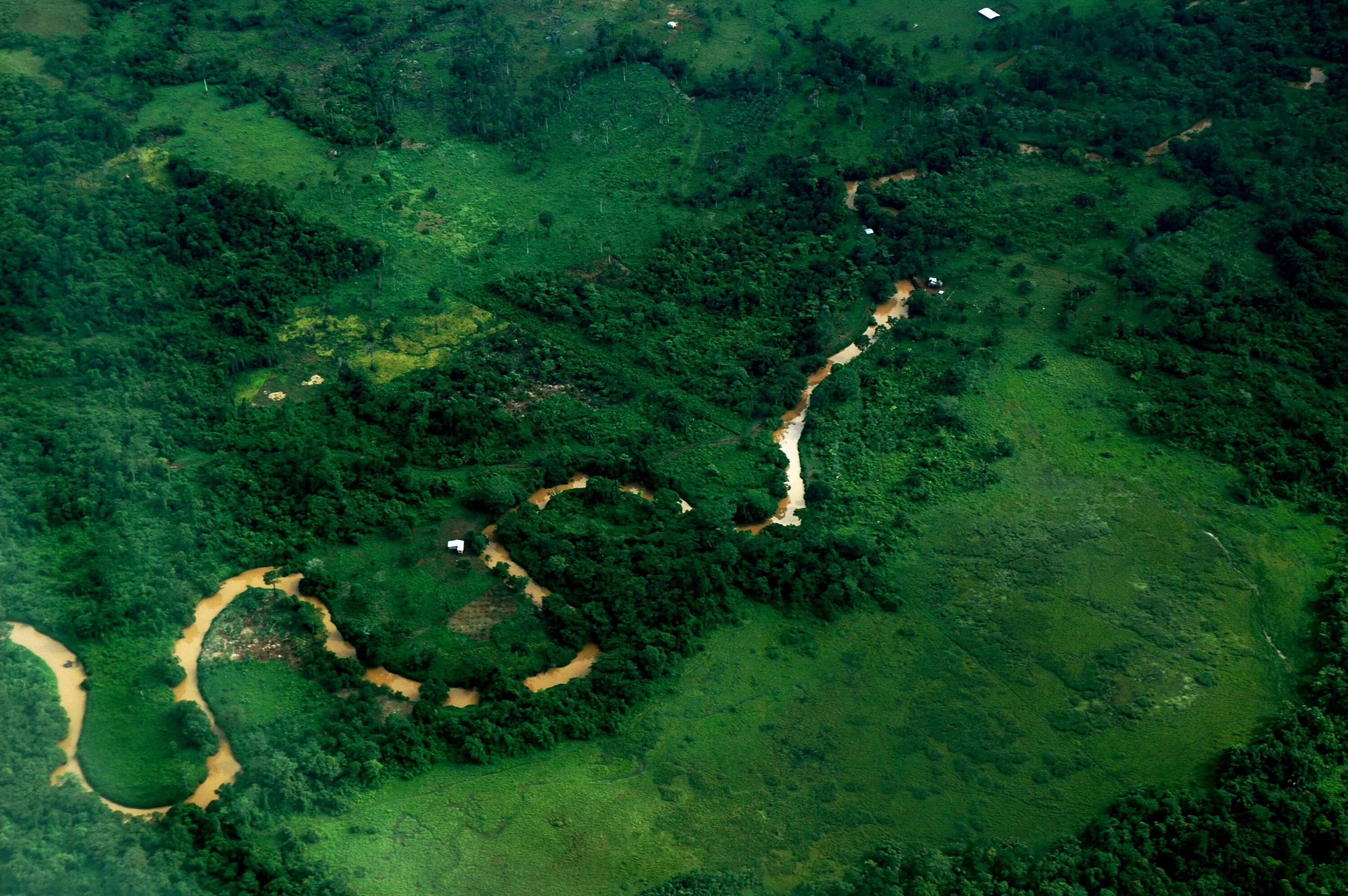 Река под прямым углом. Река Амазонка с птичьего полёта. Русло реки с высоты птичьего полета. Джунгли с высоты птичьего полета. Лес с высоты птичьего полета.