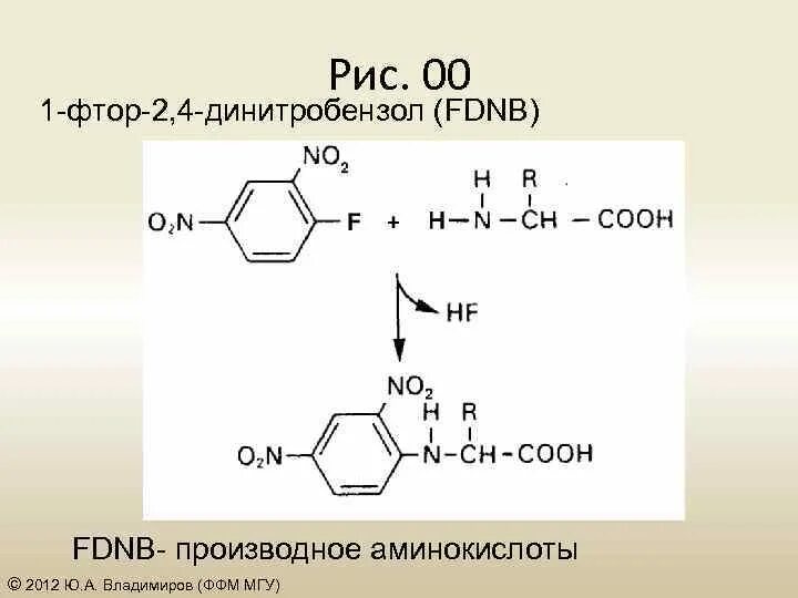 Как получают фтор. 1 3 Динитробензол. 2,4 Динитробензол. М-динитробензол формула. Фтор-2,4 динитробензол.