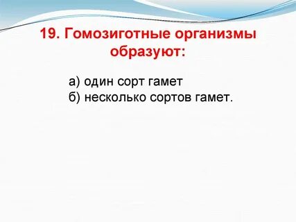 Гомозиготные серые овцы при переходе