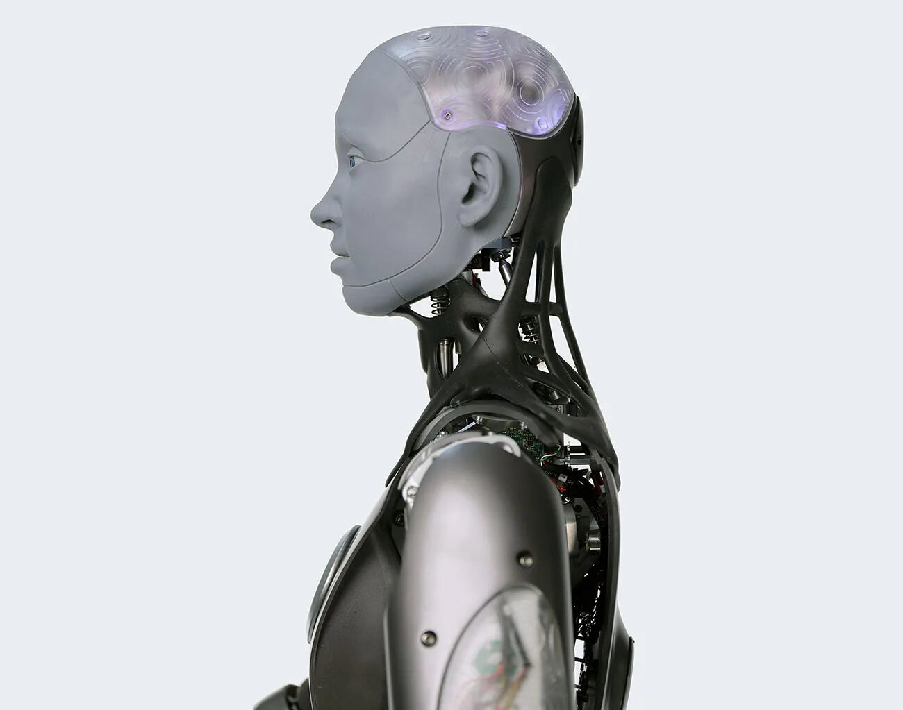 Artificial body