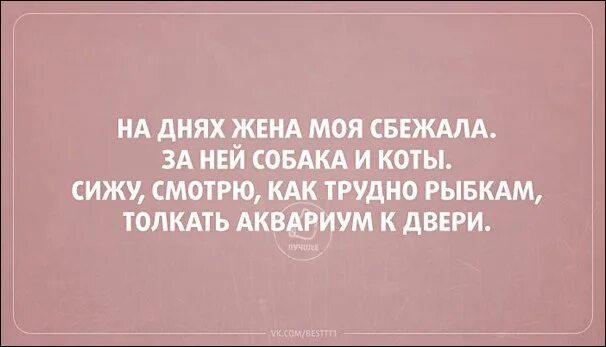 Пой как будто никто не слышит танцуй как будто никто не видит. Танцуй как будто тебя никто не видит цитата. Танцуй словно тебя никто не видит пой. Танцуй будто никто не видит. Странный юмор.