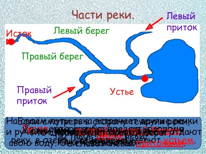 Река Волга Исток и Устье притоки. Волга Исток Устье притоки.