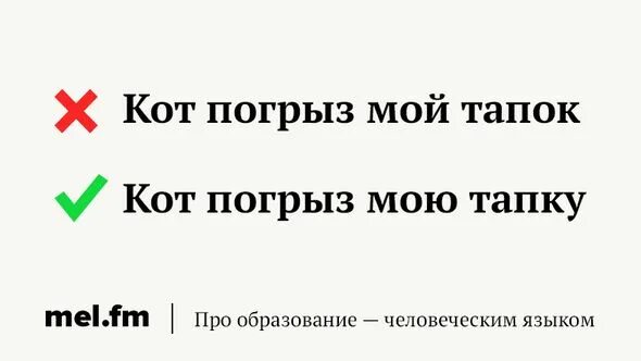 Тапком или тапкой как правильно. Слова которые часто пишут неправильно. тапок или тапка как правильно. неправильно написанные бренды. какого рода слово тапки.
